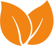 Logo representing organic products, designed with earthy colors and a leaf motif.